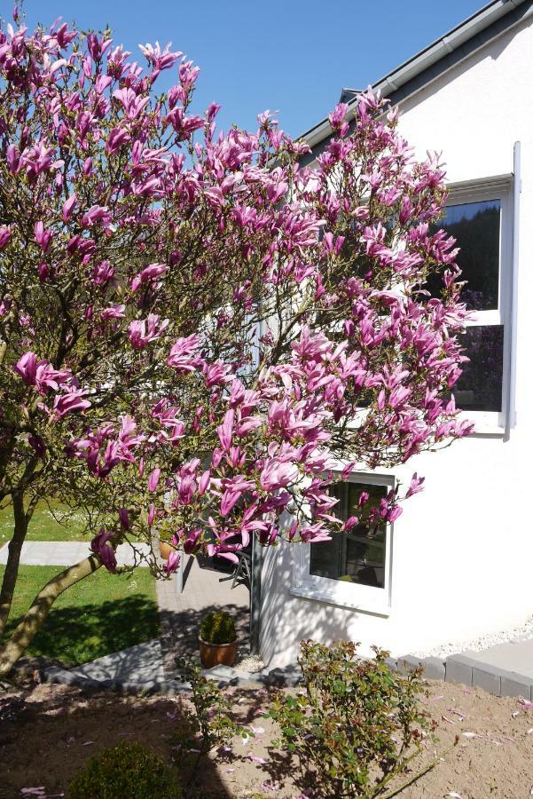 Ferienwohnung "Magnolia" Kordel Exteriör bild